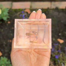 Load image into Gallery viewer, Yellow Lace Glass Belly Guppy Trio