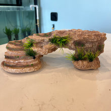 Load image into Gallery viewer, Grassy Tan Rock staircase - Axolotl Hide