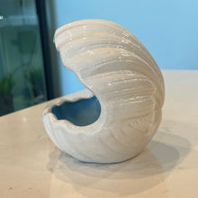 Cargar imagen en el visor de la galería, Blue Clam Shell - Axolotl Hide