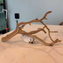 Load image into Gallery viewer, Ghost Wood | Medium