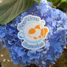 Load image into Gallery viewer, Fish4Ever Aquatics Sticker