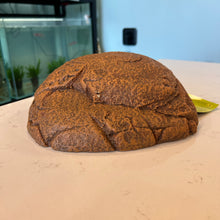 Cargar imagen en el visor de la galería, Zilla Rock Den
