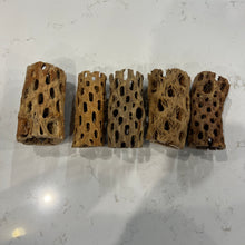 Load image into Gallery viewer, Medium Cholla Driftwood Tunnel Tubes