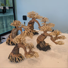 Load image into Gallery viewer, Arched Bonsai Driftwood Tree