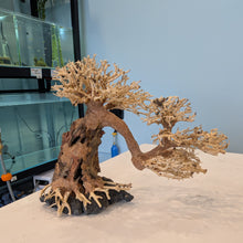 Load image into Gallery viewer, Arched Bonsai Driftwood Tree