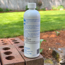 Load image into Gallery viewer, API pH Down