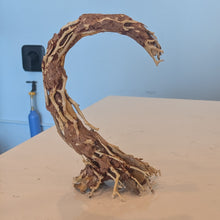 Load image into Gallery viewer, Crescent Shaped Bonsai Aquarium Driftwood