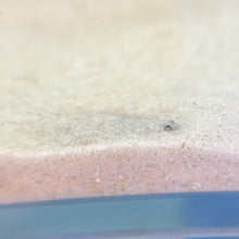 Load image into Gallery viewer, Flounder Fish | Live Fish