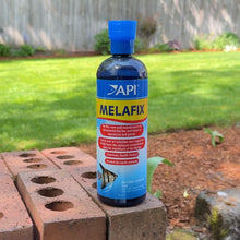 Cargar imagen en el visor de la galería, API Melafix