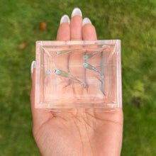 Cargar imagen en el visor de la galería, Short Crystal Blue Koi Snake Skin Guppy Pair