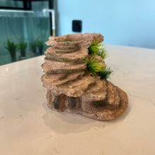 Load image into Gallery viewer, Grassy Tan Rock staircase - Axolotl Hide