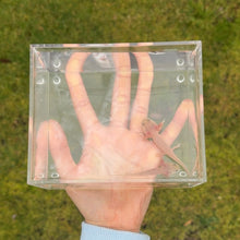 Cargar imagen en el visor de la galería, Axolotl Pair