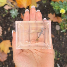 Load image into Gallery viewer, Giant Ribboned Cobra Mosaic Glass Belly Guppy Pair