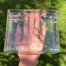 Cargar imagen en el visor de la galería, Galaxy Koi Yellow Betta Sorority Pack