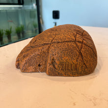 Cargar imagen en el visor de la galería, Zilla Rock Den