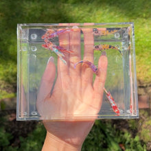 Cargar imagen en el visor de la galería, Betta Sorority Mystery Pack