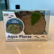Load image into Gallery viewer, Penn-Plax Aqua-Floras Living Tree Stump Aquarium Ornament