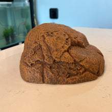 Cargar imagen en el visor de la galería, Zilla Rock Den