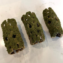 Cargar imagen en el visor de la galería, Christmas Moss on Medium Cholla Driftwood Tunnel Tubes (live plant attached)