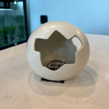 Load image into Gallery viewer, Galapagos Ceramic Egg Hide - Medium