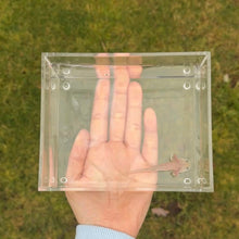 Cargar imagen en el visor de la galería, Dirty Leucistic (Dirty Lucy) Axolotl