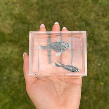 Load image into Gallery viewer, Dalmation Balloon Molly Pair