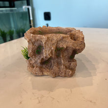 Load image into Gallery viewer, Grassy Tan Rock staircase - Axolotl Hide