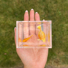 Load image into Gallery viewer, Tangerine Balloon Molly Pair