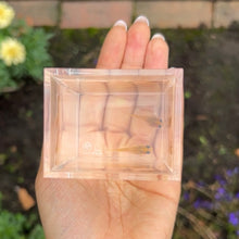 Cargar imagen en el visor de la galería, 2 Pregnant Yellow Lace Glass Belly Guppy