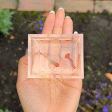 Load image into Gallery viewer, Orange Koi Glass Belly Guppy Pair