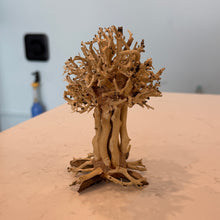 Cargar imagen en el visor de la galería, Straight Bonsai Driftwood Tree