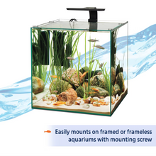 Cargar imagen en el visor de la galería, Aqueon Freshwater Aquarium LED Clip-On Light | 20 gal