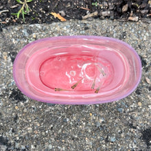 Load image into Gallery viewer, Young Glass Belly Guppy