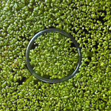 Load image into Gallery viewer, Floating Plant Multi-Pack | Live Floating Plants