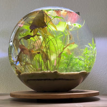 Load image into Gallery viewer, 5 Gallon Glass Fish Bowl
