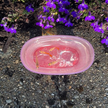 Load image into Gallery viewer, 4 Juvenile Glass Belly Guppy Fish