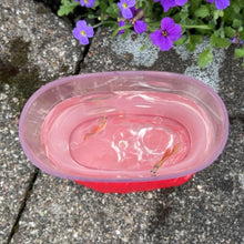 Load image into Gallery viewer, 2 Male Glass Belly Guppy Fish