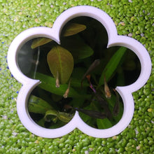 Load image into Gallery viewer, Flower Portal Feeding Ring