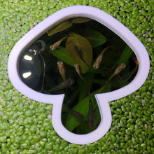 Load image into Gallery viewer, Mushroom Portal Feeding Ring