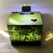 Load image into Gallery viewer, Heart Portal Feeding Ring