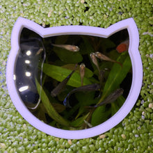 Load image into Gallery viewer, Cat Portal Feeding Ring Fish Feeders
