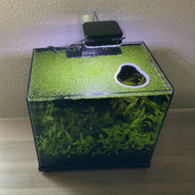 Load image into Gallery viewer, Avocado Portal Feeding Ring Fish Feeders