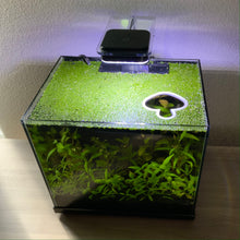 Load image into Gallery viewer, Mushroom Portal Feeding Ring