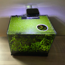 Load image into Gallery viewer, Circle Portal Feeding Ring