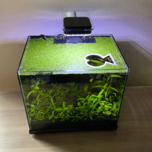 Load image into Gallery viewer, Fish Portal Feeding Ring