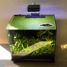 Load image into Gallery viewer, Cloud Portal Feeding Ring