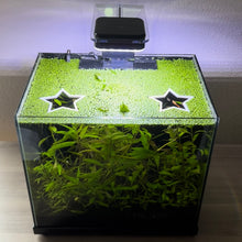 Load image into Gallery viewer, 2 Star Portal Pack