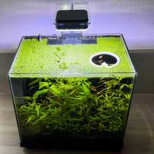 Cargar imagen en el visor de la galería, Lily Pad Portal Feeding Ring