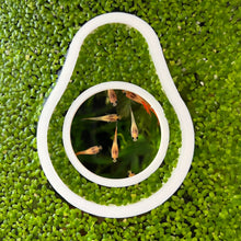 Load image into Gallery viewer, Avocado & Seed Portal