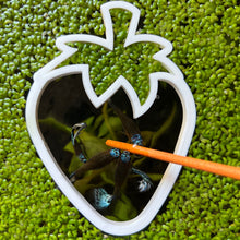 Load image into Gallery viewer, Strawberry Portal Feeding Ring